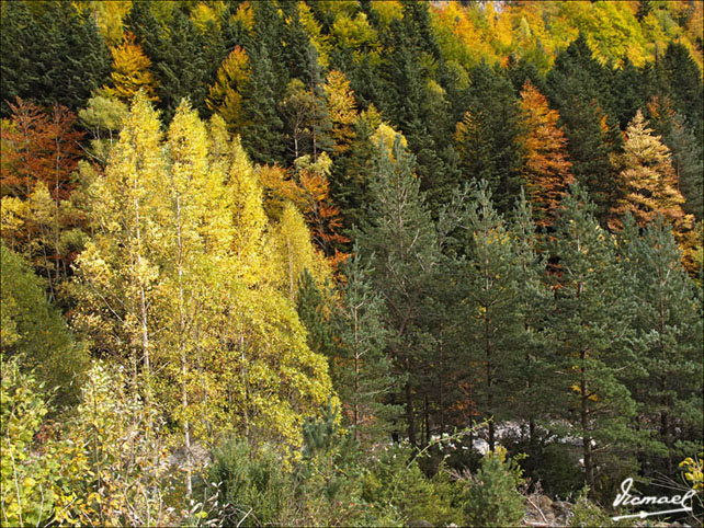 Foto de Torla (Huesca), España