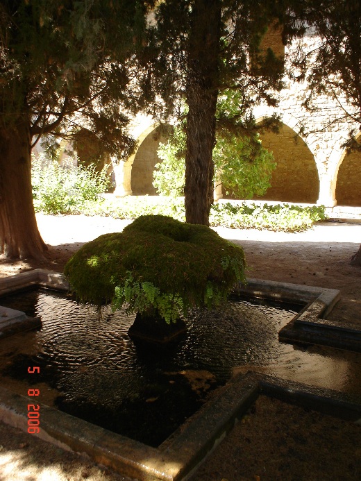 Foto de Santes Creus (Tarragona), España