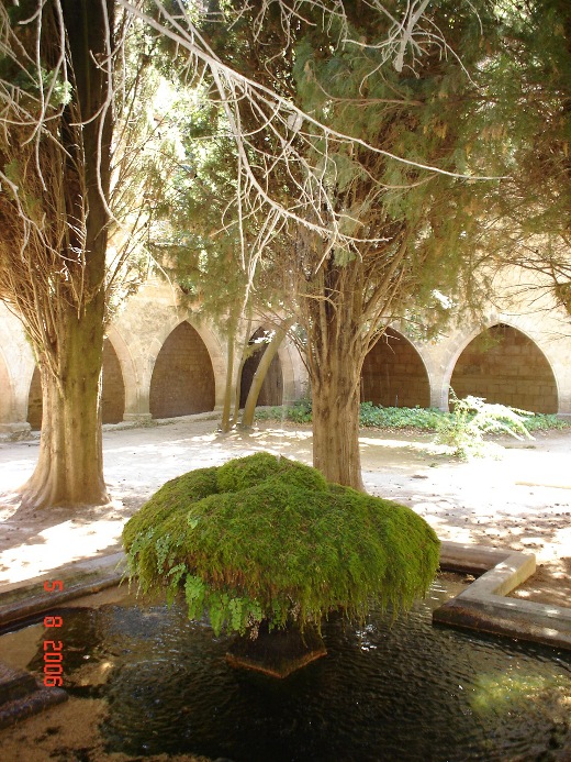 Foto de Santes Creus (Tarragona), España