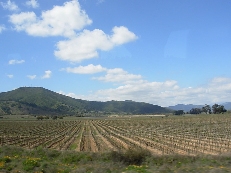 Foto de Casa Blanca, Chile