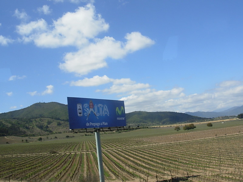 Foto de Casa Blanca, Chile