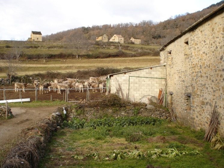 Foto de Fragen (Huesca), España