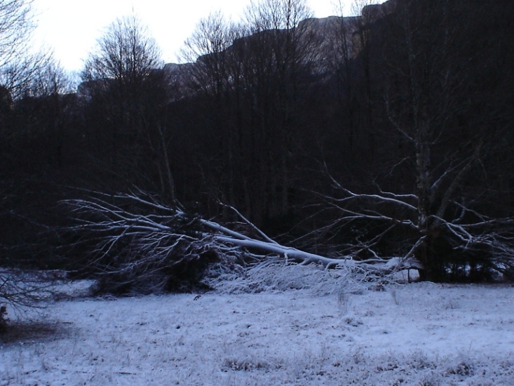 Foto de Ordesa (Huesca), España