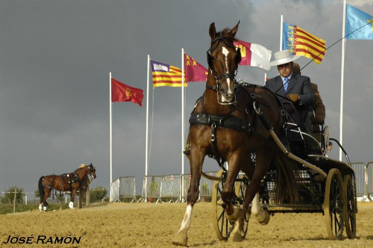 Foto de Trebujena (Cádiz), España