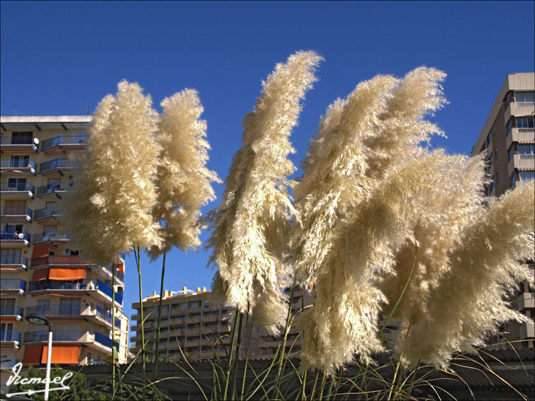 Foto de Oropesa del Mar (Castelló), España