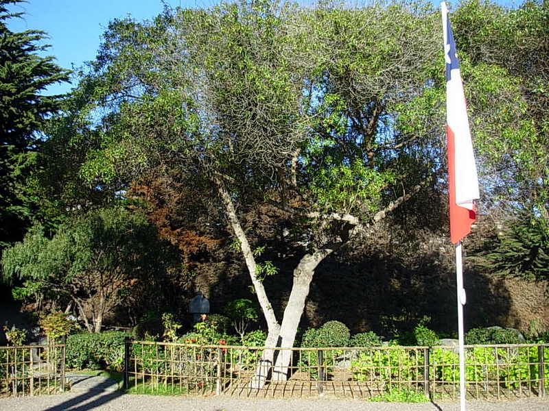 Foto de La Serena, Chile