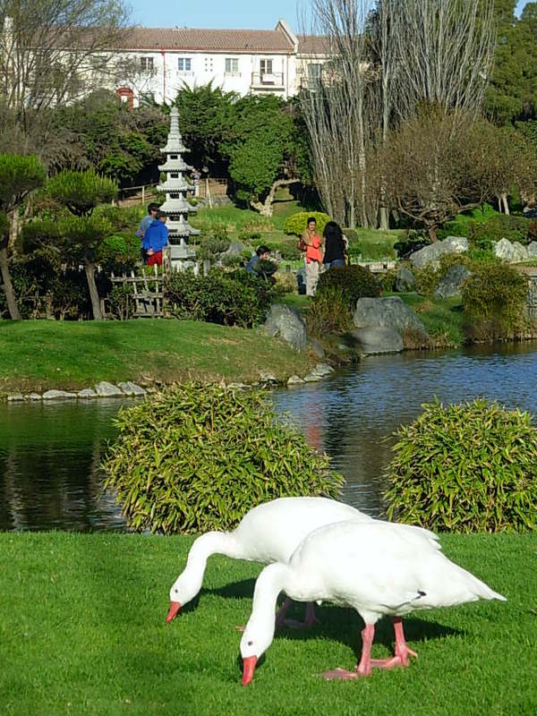 Foto de La Serena, Chile