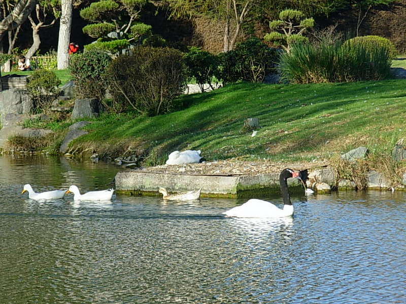 Foto de La Serena, Chile