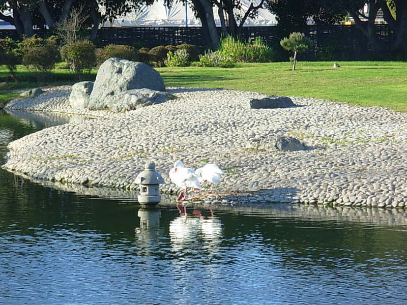 Foto de La Serena, Chile