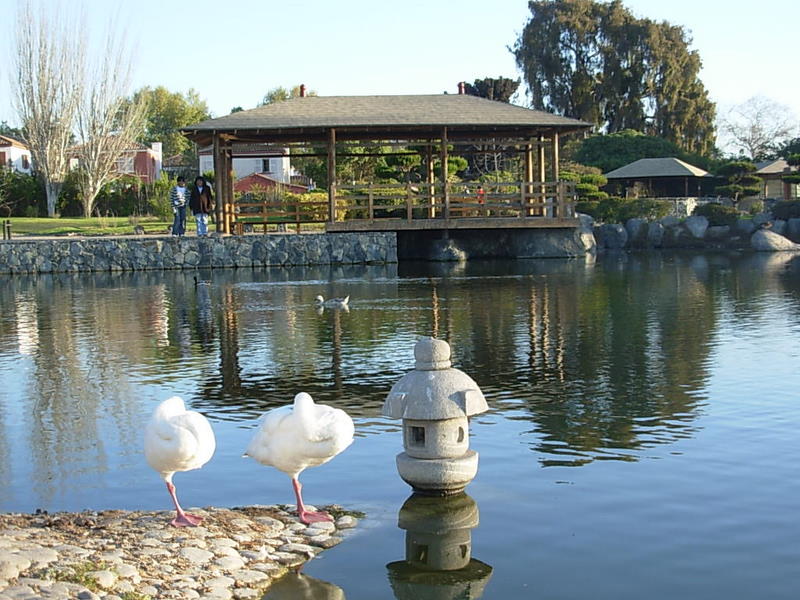 Foto de La Serena, Chile