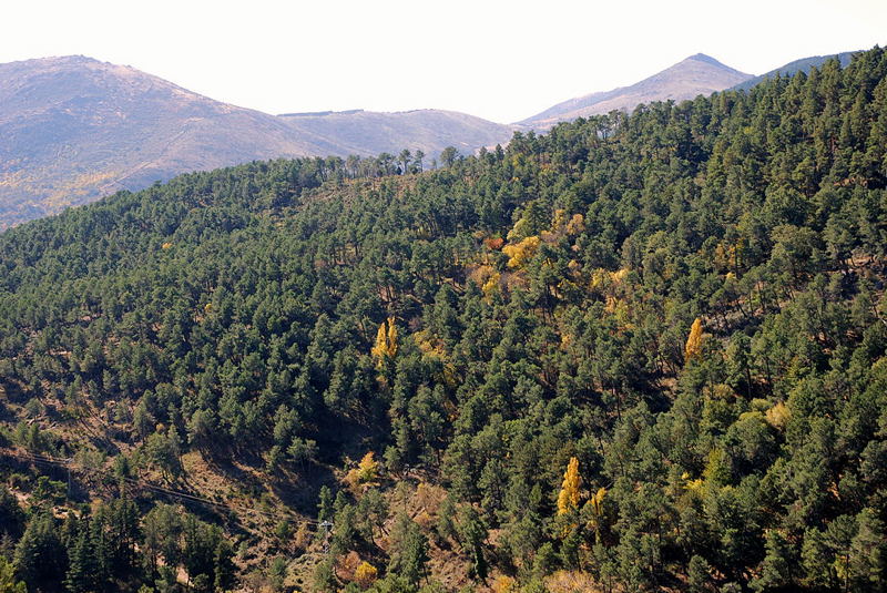 Foto de El Escorial (Madrid), España