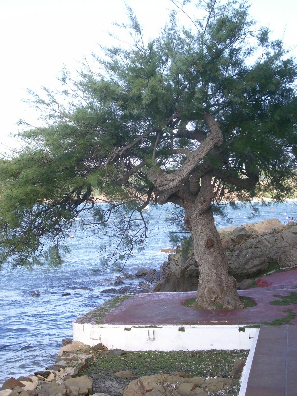 Foto de Es Grau - Menorca (Illes Balears), España