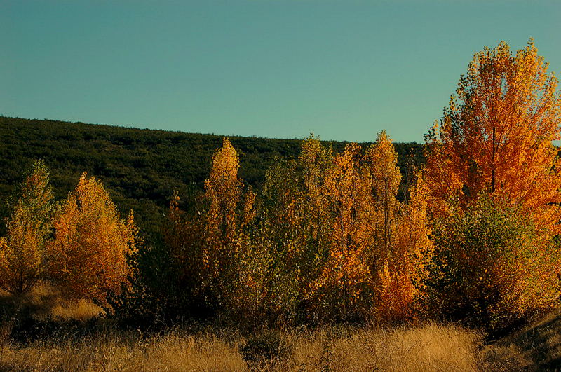 Foto de Robledillo de la Jara (Madrid), España