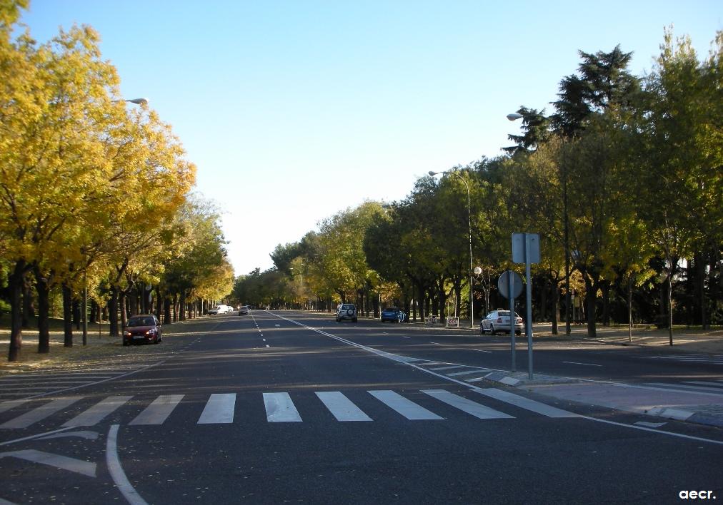 Foto de Madrid (Comunidad de Madrid), España