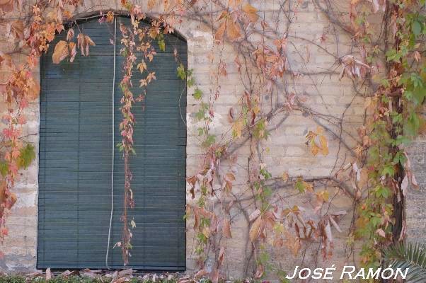 Foto de Jerez de la Frontera (Cádiz), España