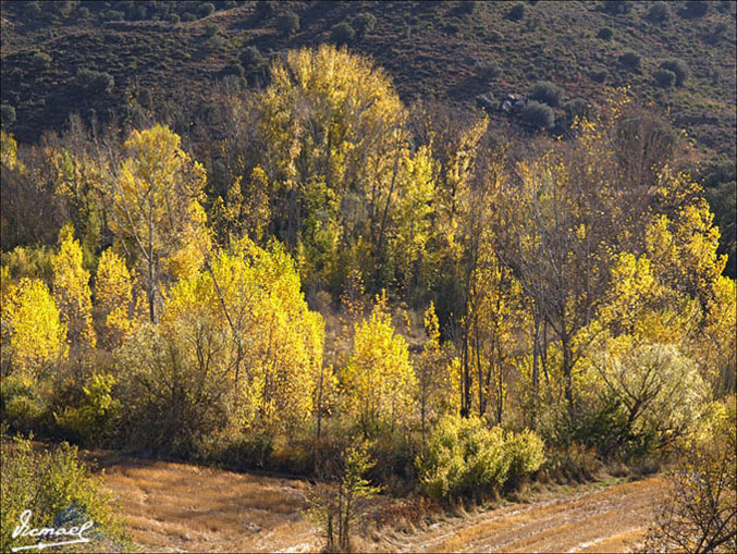 Foto de Somaen (Soria), España