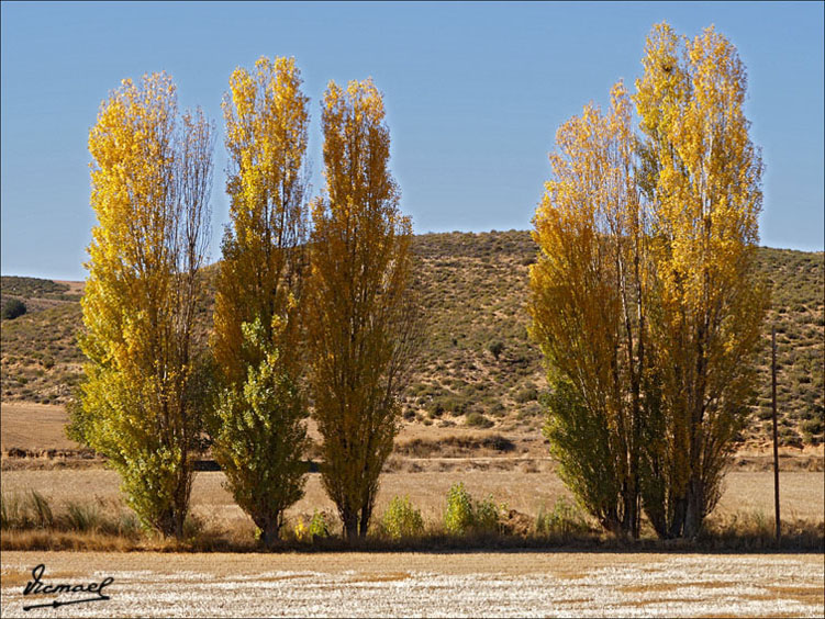 Foto de Alconchel de Ariza (Zaragoza), España