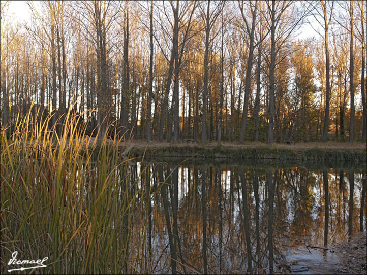 Foto de Almazán (Soria), España