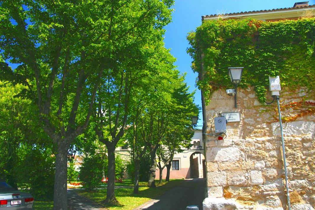 Foto de Zamora (Castilla y León), España