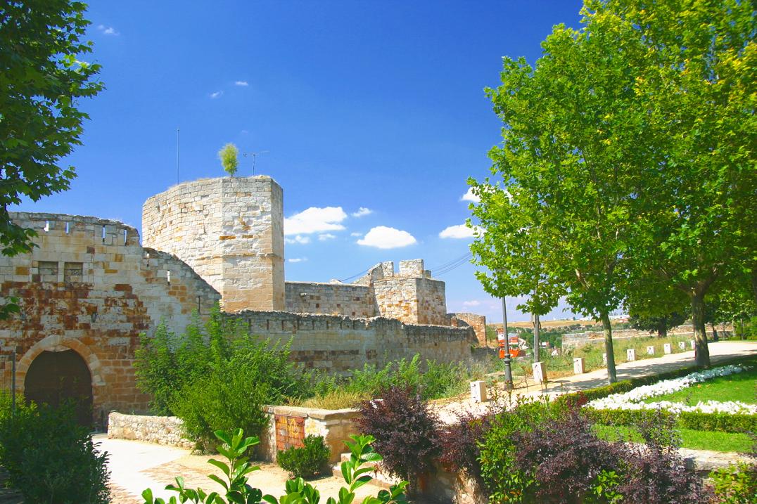 Foto de Zamora (Castilla y León), España