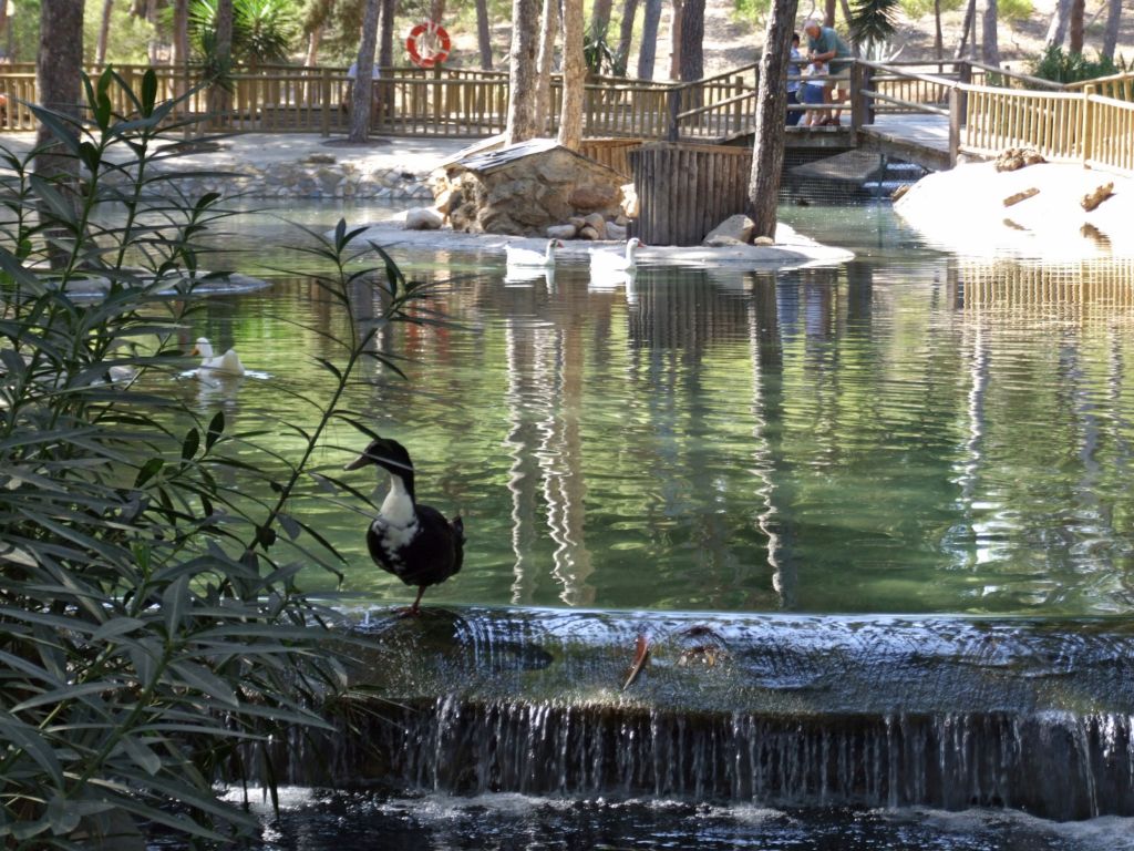 Foto de Guardamar del Segura (Alicante), España