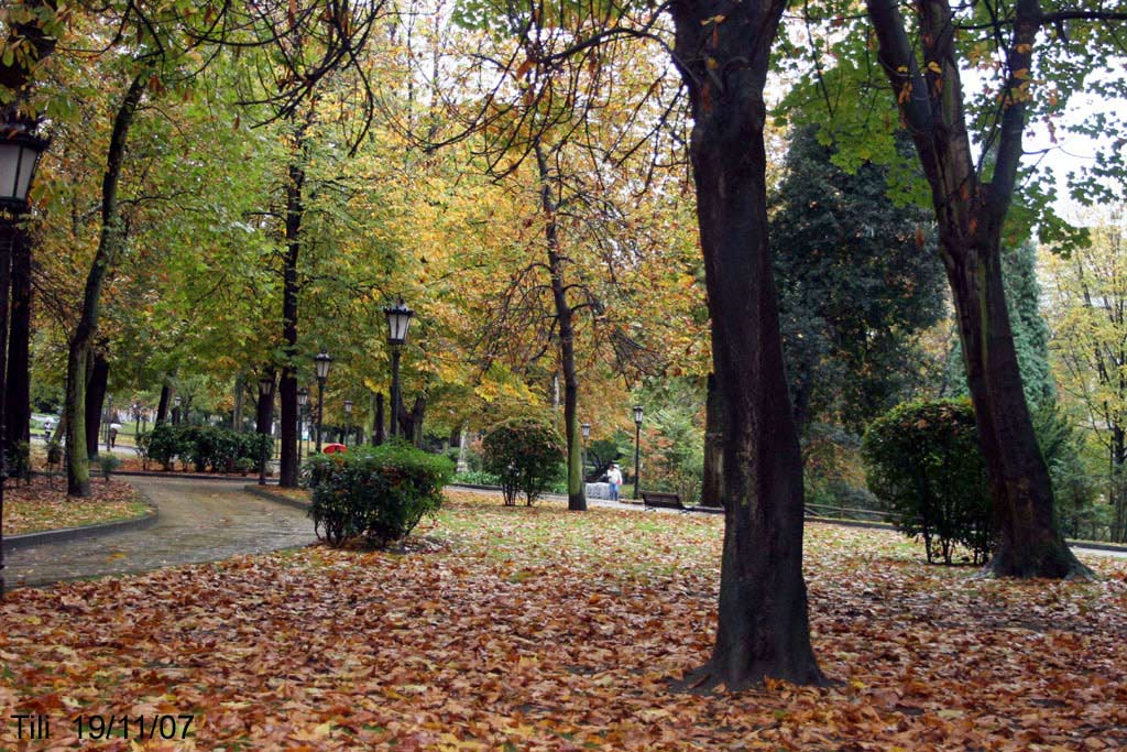 Foto de Oviedo (Asturias), España