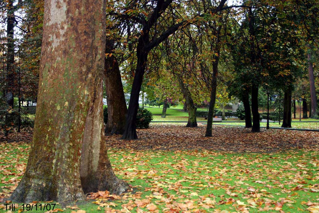 Foto de Oviedo (Asturias), España