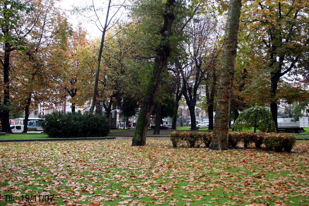 Foto de Oviedo (Asturias), España