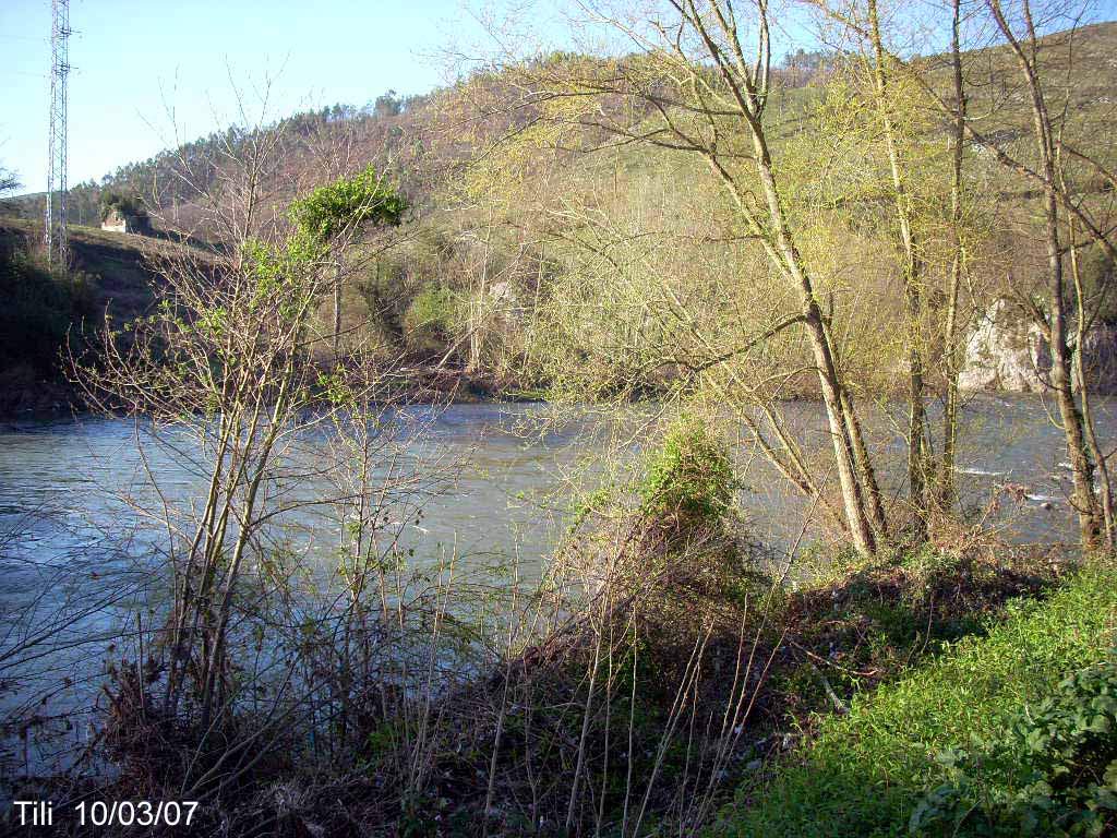 Foto de Las Caldas (Asturias), España