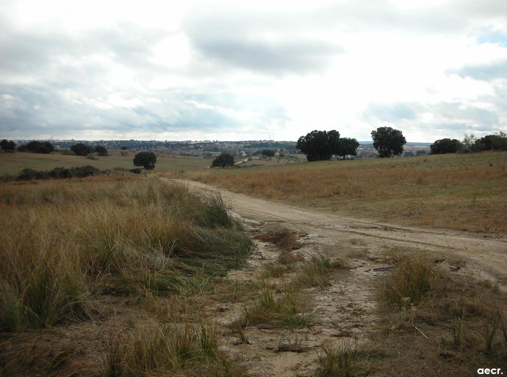 Foto de Quijorna (Madrid), España