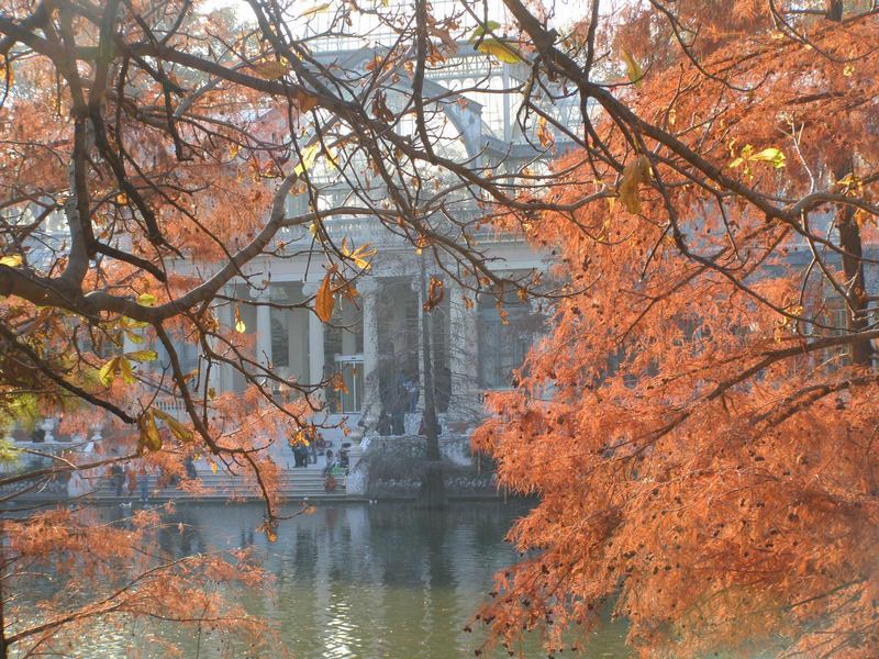 Foto de Madrid (Comunidad de Madrid), España