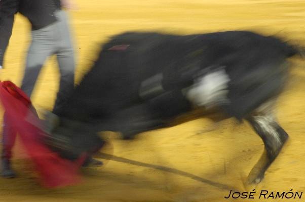 Foto de Jerez de la Frontera (Cádiz), España