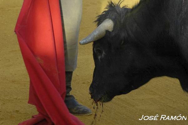 Foto de Jerez de la Frontera (Cádiz), España