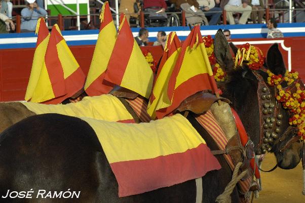 Foto de Jerez de la Frontera (Cádiz), España