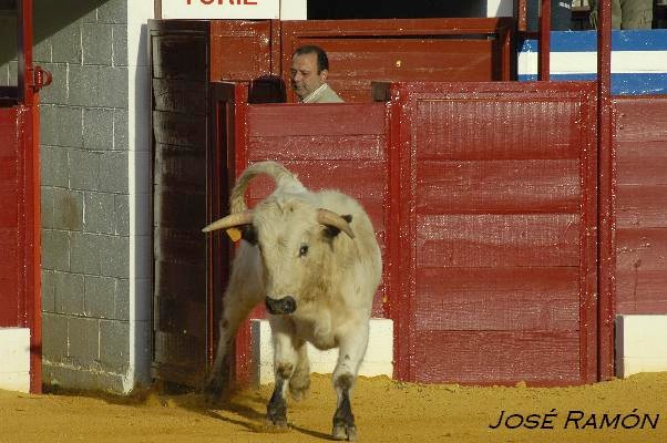 Foto de Jerez de la Frontera (Cádiz), España