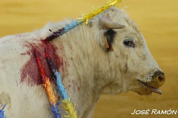 Foto de Jerez de la Frontera (Cádiz), España