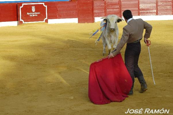 Foto de Jerez de la Frontera (Cádiz), España