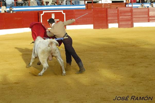 Foto de Jerez de la Frontera (Cádiz), España