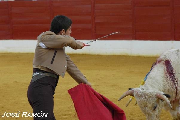 Foto de Jerez de la Frontera (Cádiz), España