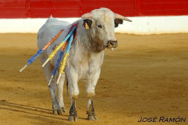 Foto de Jerez de la Frontera (Cádiz), España