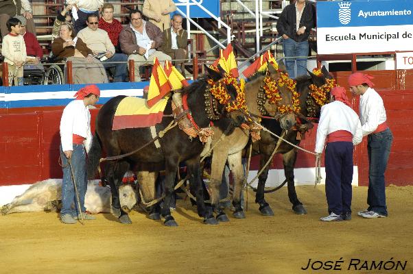 Foto de Jerez de la Frontera (Cádiz), España