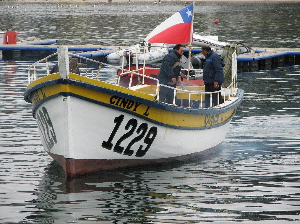 Foto de Algarrobo, Chile