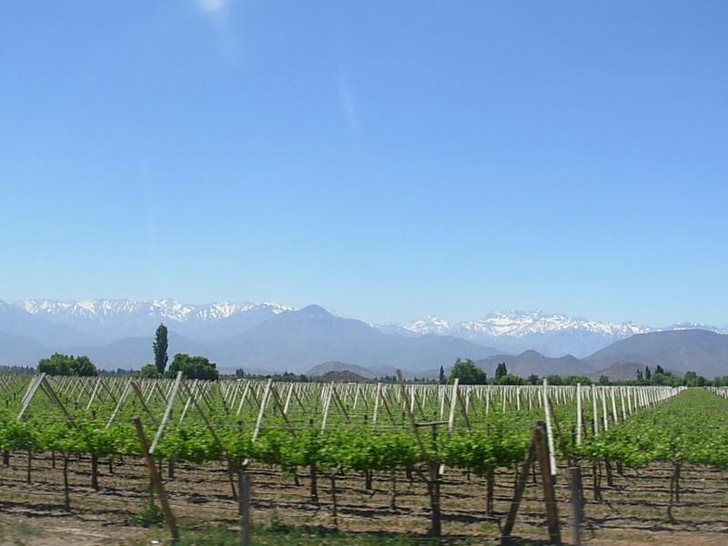 Foto de Los Andes, Chile