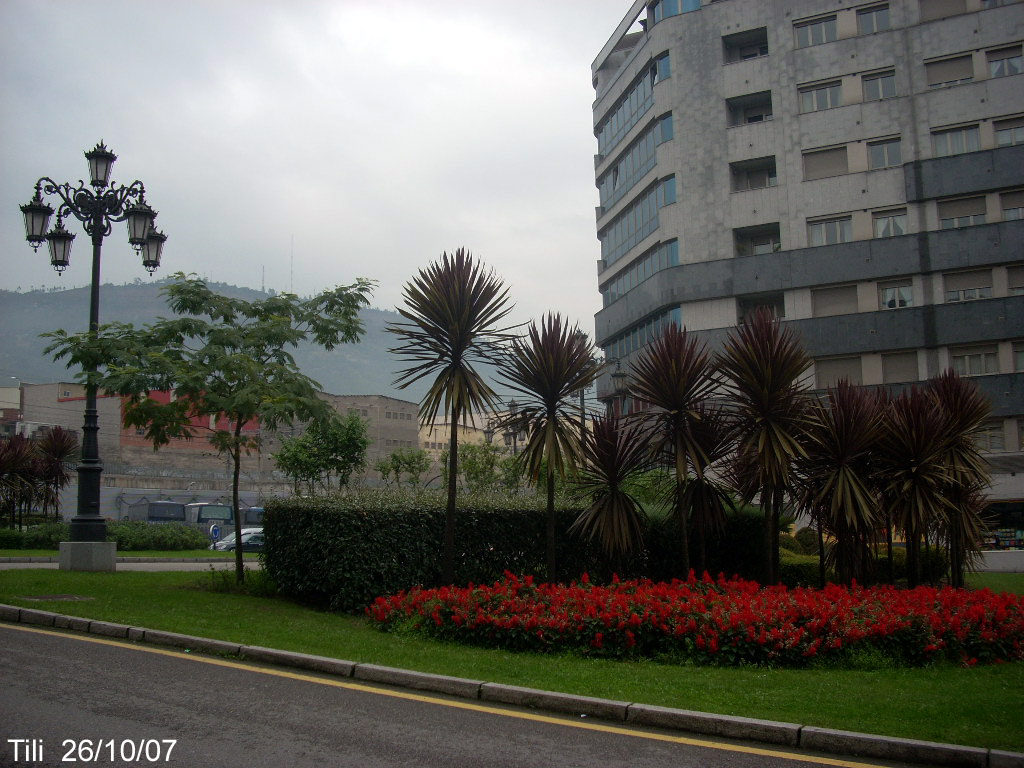 Foto de Oviedo (Asturias), España