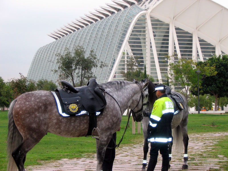 Foto de Valencia (València), España