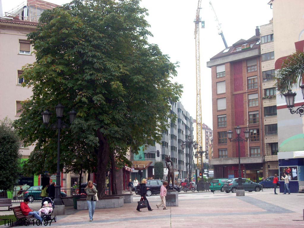 Foto de Oviedo (Asturias), España