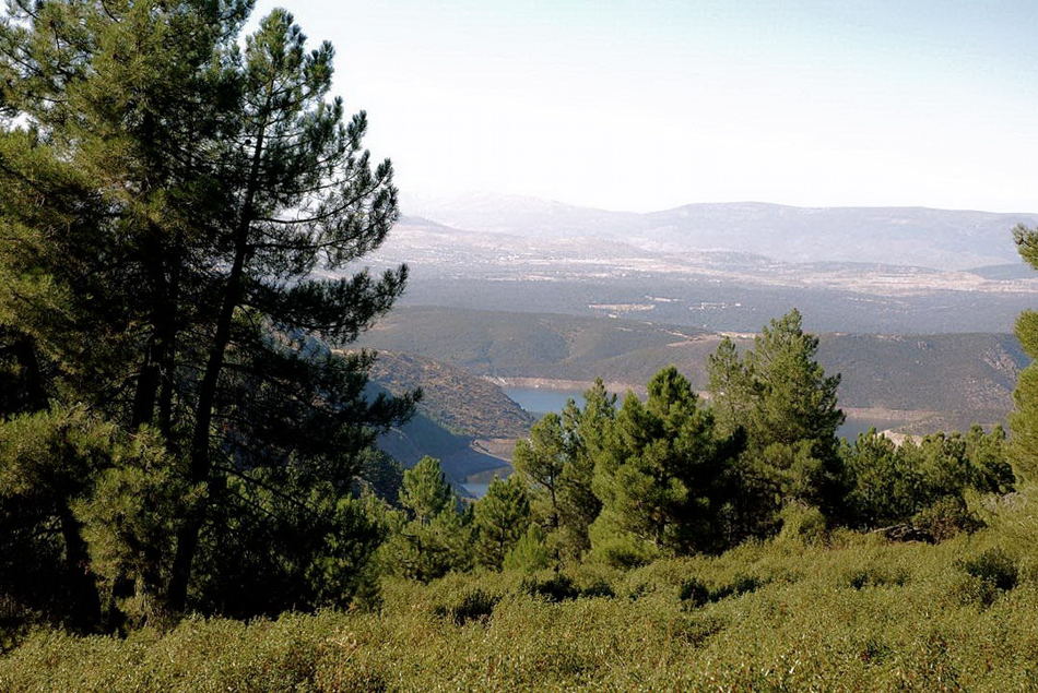 Foto de El Atazar (Madrid), España