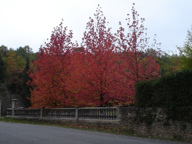 Foto de Mirepoix, Francia