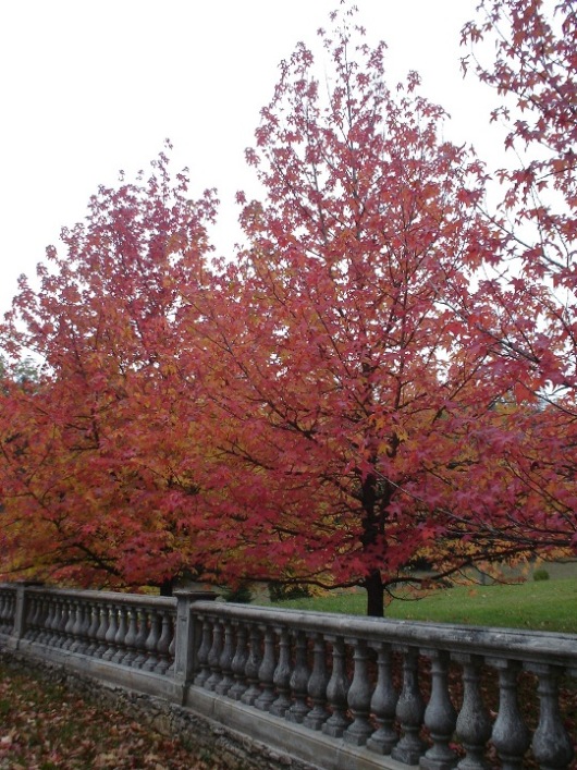 Foto de Mirepoix, Francia