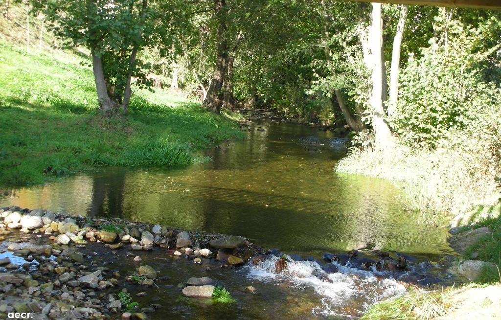 Foto de Pola de Allande (Asturias), España